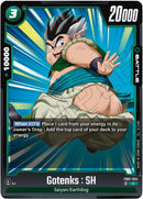 Gotenks : SH [Wish For Shenron]