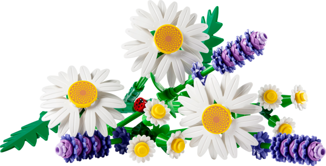LEGO Botanicals - Daisies