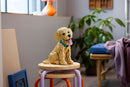 LEGO Icons Golden Retriever Puppy