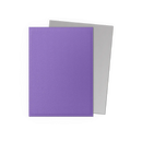 Dragon Shield Matte Dual Sleeves - Nebula & Silver