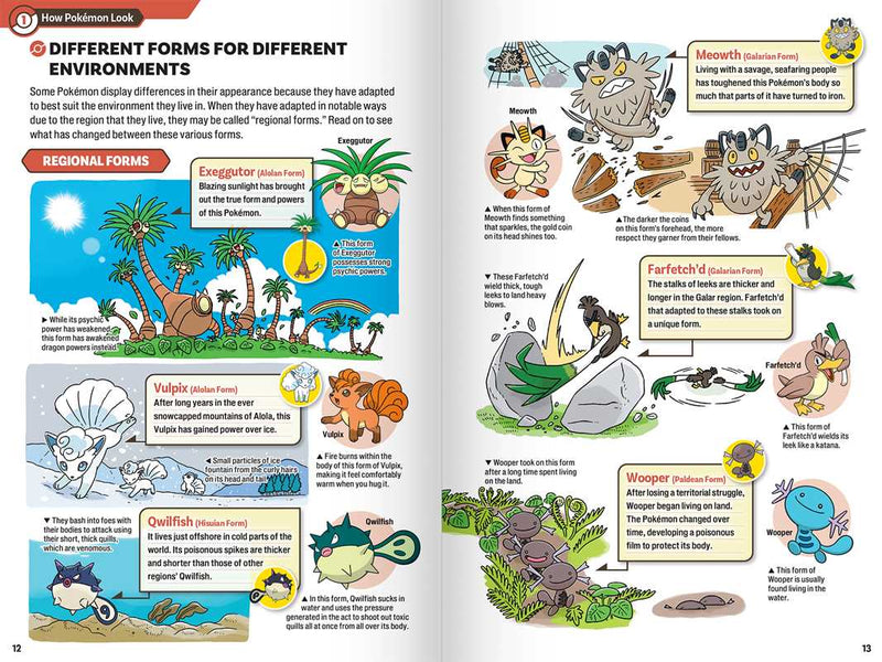 Pokécology An Illustrated Guide to Pokémon Ecology (PREORDER)